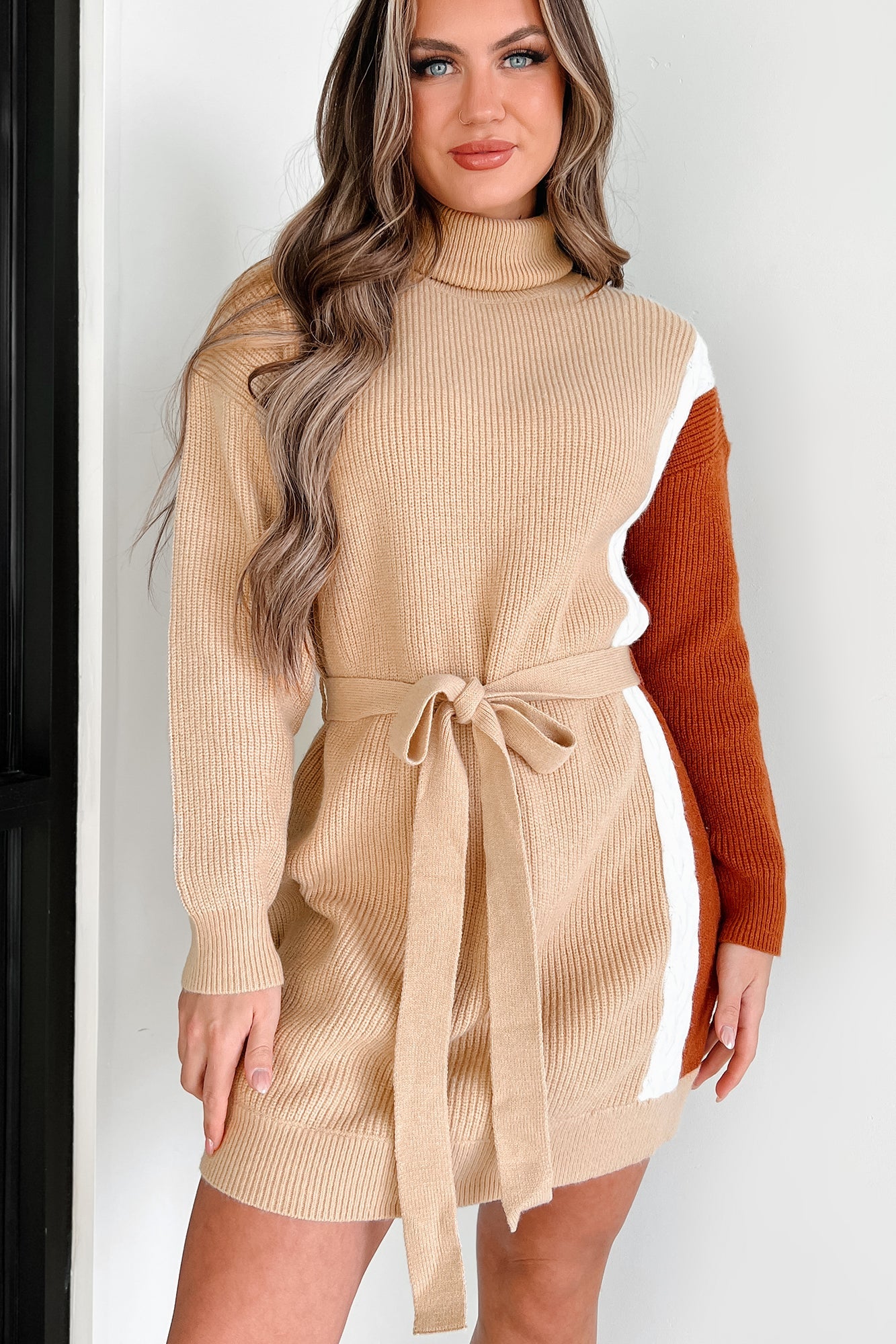 Slope City Turtleneck Sweater Dress (Oatmeal Multi)