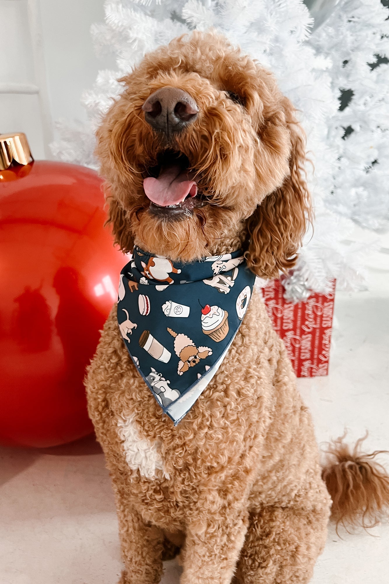 Pup Traditions Silky Printed 3-Piece Pajama Set (Dog Print)